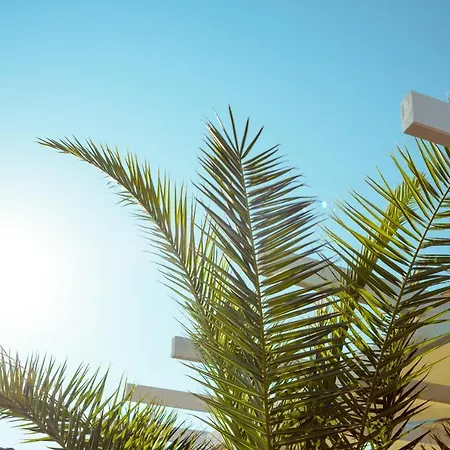 Grande Mia Casa アパート